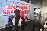 驱散黑暗！导盲犬小队来上海中心大厦啦！
