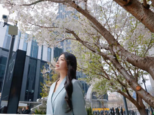下楼即赏樱！IM长宁国际樱花季回顾：打工人的春日人生照，不必远行