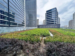 静安苏河湾核心商务综合体|金融街融悦|5206平|单价6万