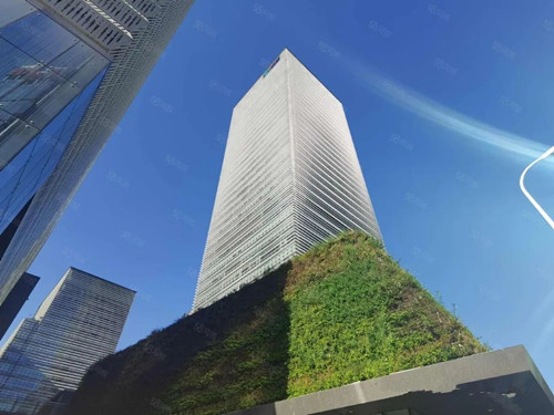 浦东商务楼租赁，总高为44层，标准层面积2500平方