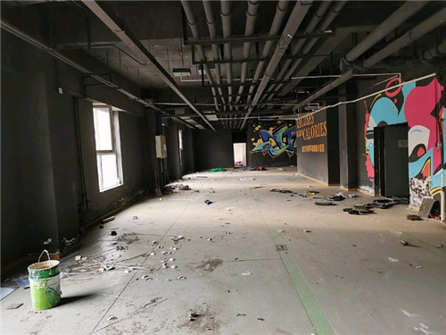 2570.jpg
