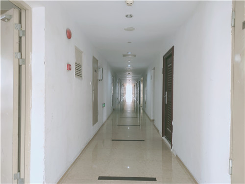IMG20210125134310.jpg