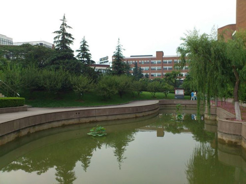 29ad7b75-6b7a-4d54-95ed-c7964e90f2b2.jpg