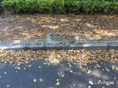 微信图片_20220418160636.jpg