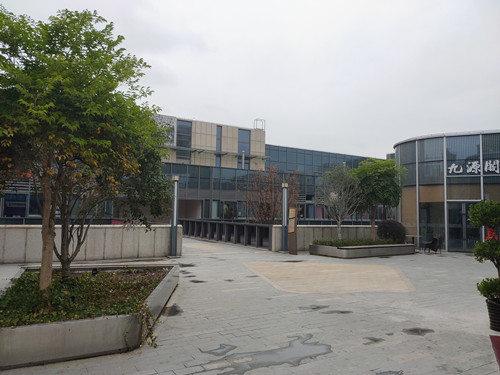 IMG20201120143850.jpg