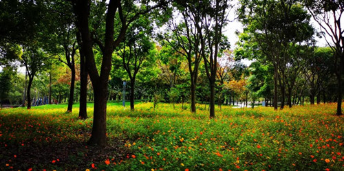 1642940691340167.jpg 微信图片_20220123201925.jpg