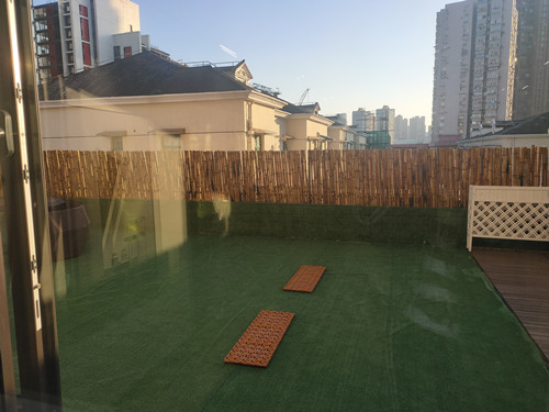 IMG20230227165803.jpg