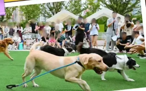 1761037886280351.jpg 微信图片_2025-10-21_170634_026.jpg