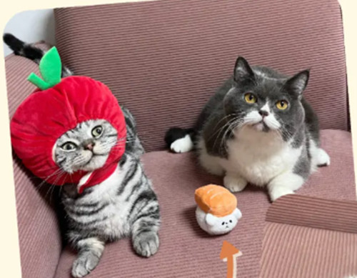 1761441113706746.jpg 微信图片_2025-10-26_090518_140.jpg