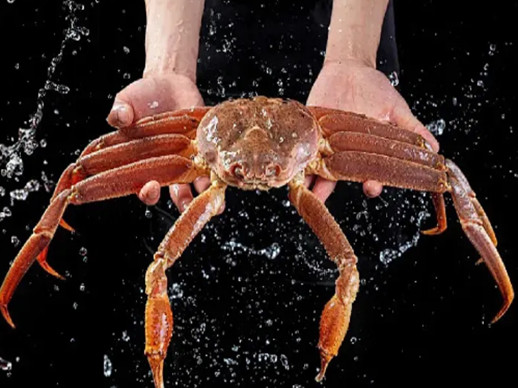 1768899674987326.jpg 微信图片_2026-01-20_165912_102.jpg