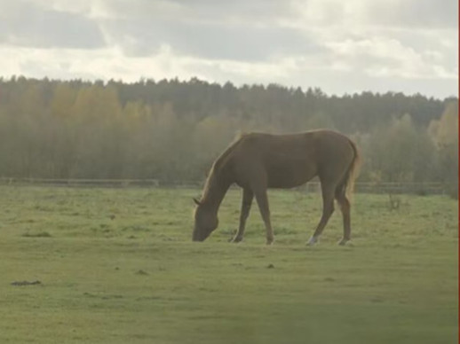 1770270598313746.jpg 微信图片_2026-02-05_134733_982.jpg