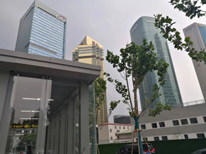 花旗集团大厦 整层出售（出租）