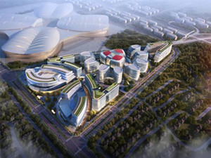 上海青浦诸光路1588弄楼盘效果图