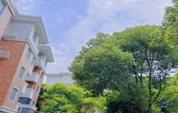 和泰苑Ⅱ期，300万入住中环名校现房！