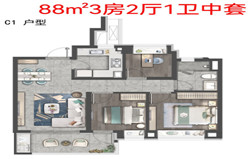 象屿同进虹桥嘉悦府户型图赏析