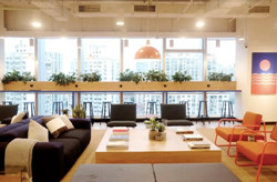 共享联办：WeWork（中海国际中心）黄浦区 新天地