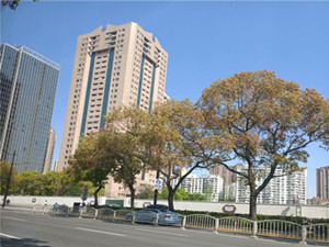 新虹桥捷运大厦外观实景图片