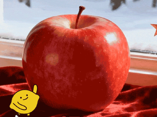 信会新品丨 上海信泰中心快乐柠檬 新年第一杯 开心平安